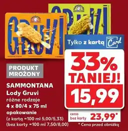 Kaufland Lody Gruvi, różne smaki Sammontana oferta