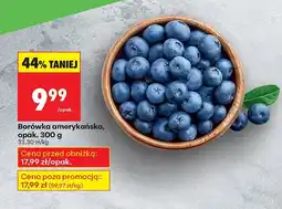 Biedronka Borówka amerykańska, opak. 300 g Biedronka oferta