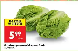 Biedronka Sałata rzymska mini Biedronka oferta