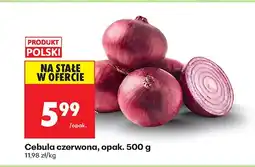 Biedronka Cebula czerwona Biedronka oferta