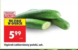 Biedronka Ogórek szklarniowy polski Biedronka oferta