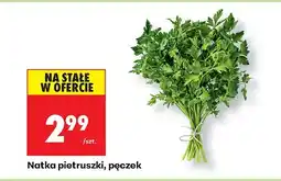 Biedronka Natka pietruszki, pęczek Biedronka oferta
