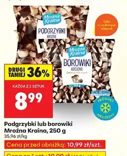Biedronka Podgrzybki lub borowiki Mroźna Kraina 250 g oferta