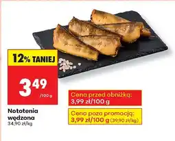 Biedronka Nototenia wędzona Biedronka oferta