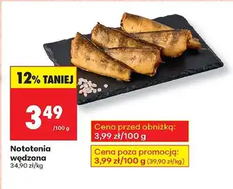Biedronka Nototenia wędzona Biedronka oferta