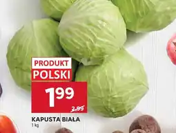 Stokrotka Kapusta biała Stokrotka oferta