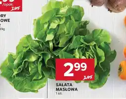 Stokrotka Sałata masłowa Stokrotka oferta