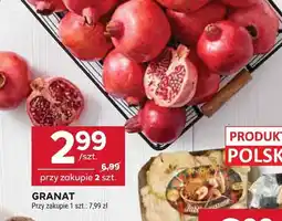 Stokrotka Granat Stokrotka oferta