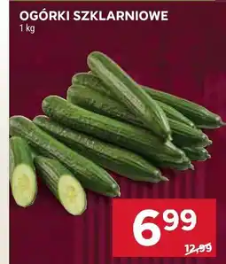 Stokrotka Ogórki szklarniowe Stokrotka oferta