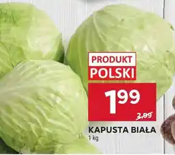 Stokrotka Kapusta biała Stokrotka oferta