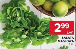 Stokrotka Sałata maślowa Stokrotka oferta