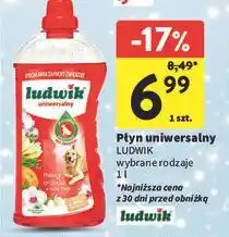 Intermarche Płyn uniwersalny kwiaty orchidei z nutą frezji Ludwik oferta