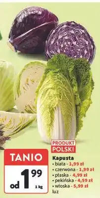 Intermarche Kapusta włoska oferta