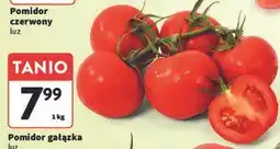 Intermarche Pomidory gałązka oferta