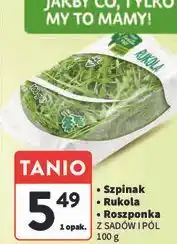 Intermarche Szpinak młody Z Sadów I Pól oferta