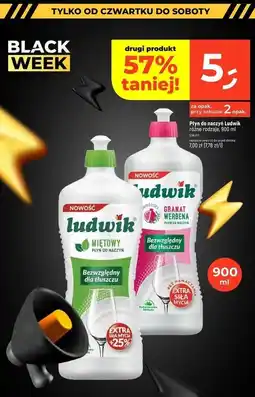 Dealz Płyn do mycia naczyń premium granat werbena Ludwik oferta