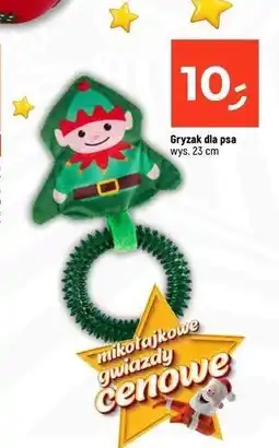 Dealz Gryzak dla psa oferta