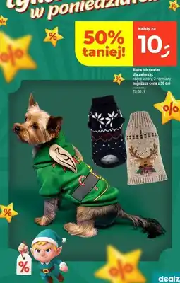 Dealz Sweter dla psa oferta