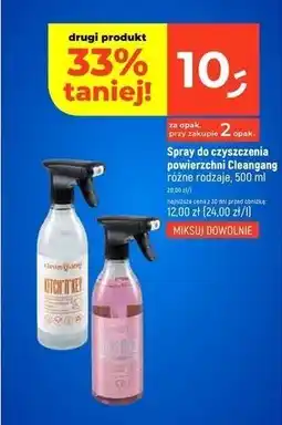 Dealz Płyn do mycia szyb blossom Cleangang oferta