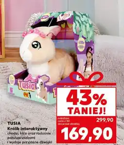 Kaufland Królik tusia Epee oferta