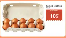 Dino Jaja świeże M ściółkowe 10 szt. Dino oferta