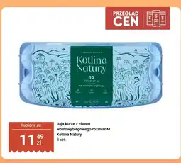 Dino Jaja kurze z chowu wolnowybiegowego M 8 szt. Kotlina Natury oferta