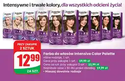 Dino Farba do włosów Intensive Color Palette oferta