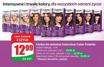 Dino Farba do włosów Intensive Color Palette oferta