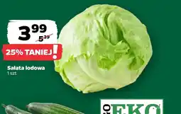 Netto Sałata lodowa oferta