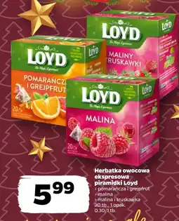 Netto Herbata owocowa Loyd oferta