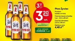 Żabka Piwo Żywiec oferta