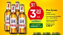 Żabka Piwo Żywiec oferta