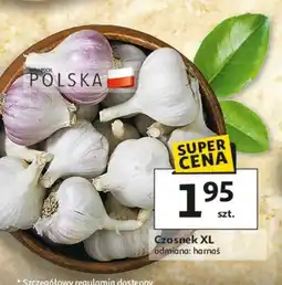 Auchan Czosnek oferta