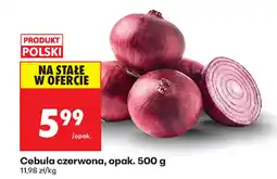 Biedronka Cebula czerwona oferta