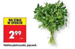 Biedronka Natka pietruszki oferta