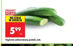 Biedronka Ogórek Polski oferta