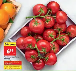 Biedronka Pomidory gałązka oferta