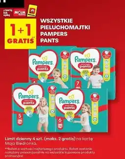 Biedronka Pieluchomajtki 4 maxi Pampers Pants oferta