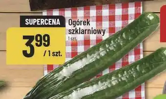 Polomarket Ogórek szklarniowy POLOmarket oferta