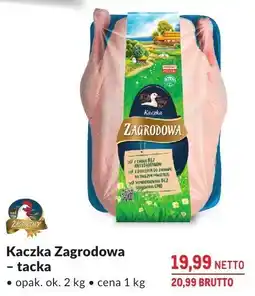 Makro Kaczka Zagrodowa – tacka Makro oferta