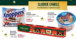Makro Pierniczki Katarzynki Kopernik oferta