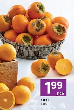 Stokrotka Kaki 1 szt. Stokrotka oferta