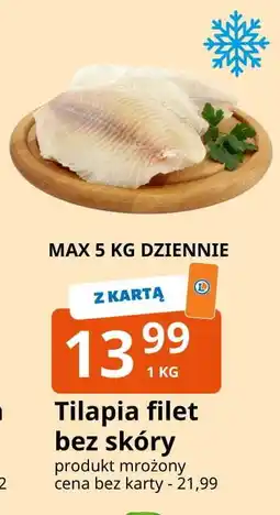 E.Leclerc Tilapia filet bez skóry oferta