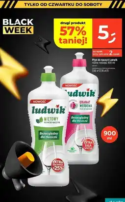 Dealz Płyn do mycia naczyń premium granat werbena Ludwik oferta