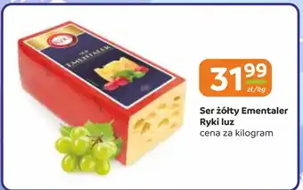 Gama Ser Ryki oferta