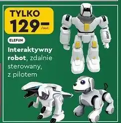 Biedronka Robot dinozaur z pilotem Elefun oferta