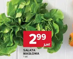 Stokrotka Sałata masłowa oferta
