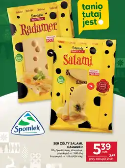 Stokrotka Ser Radamer oferta