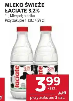 Stokrotka Mleko Łaciate oferta
