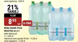 bi1 Woda skarb życia muszyna oferta